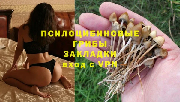 мдма Елизово