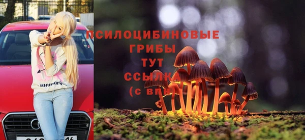 прущая мука Армянск
